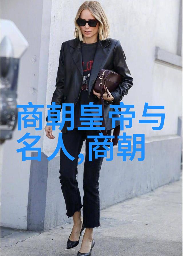 唐朝历史版图探秘古代帝国的辉煌与延伸