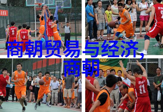 追忆北宋刘亦菲在靖康中的表演