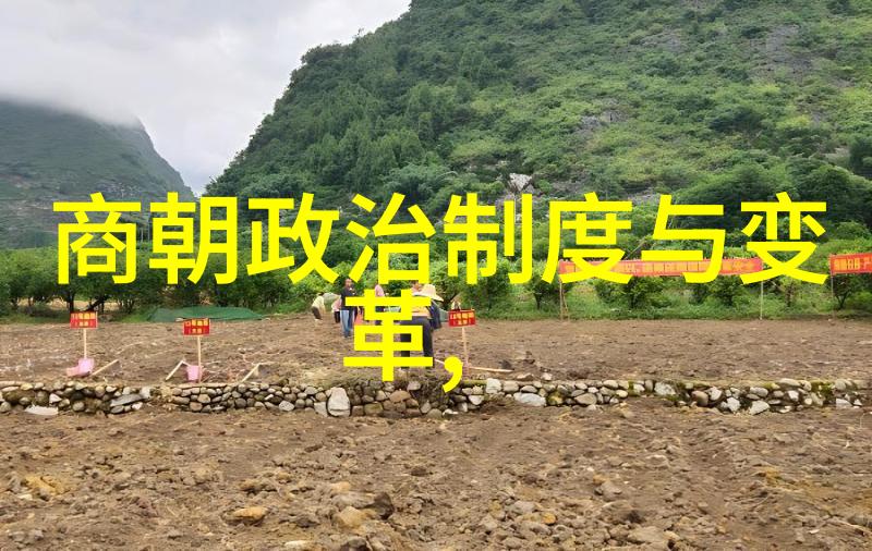 杨基穿越千年袁姓奇迹的女孩在2022年等待被发现