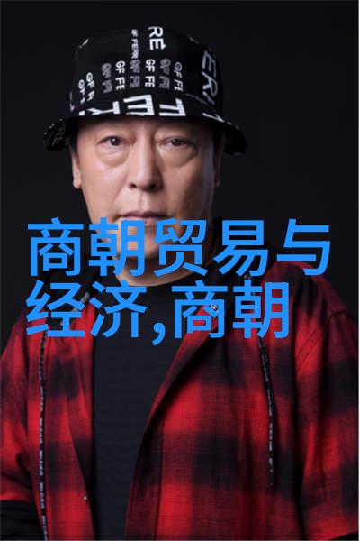 宋朝的繁荣与光芒专家们为何热衷于探讨