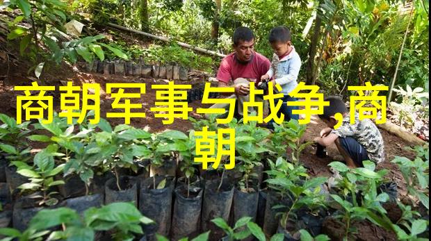 明朝图片揭秘那些被遗忘的历史瞬间