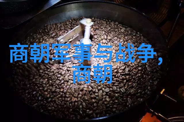 吉利可汗的太极秘术揭秘它如何成为古代医疗之宝