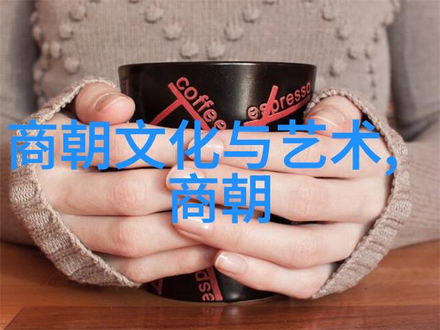 穿越时空的历史长廊中国朝代历程探究