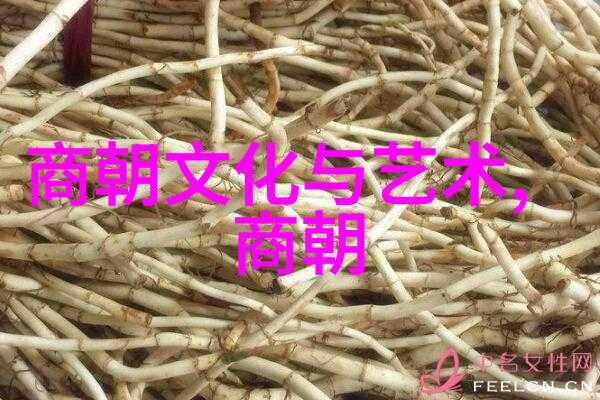元朝的覆灭真相与迷雾
