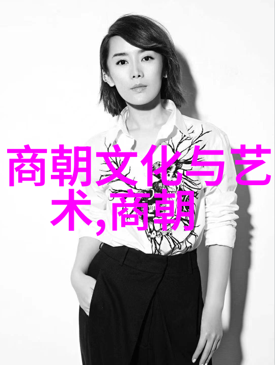 穿越明朝的电子迷雾揭秘那些被遗忘的历史篇章