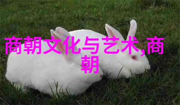 任法融道长自然之声在中国学信网上响起