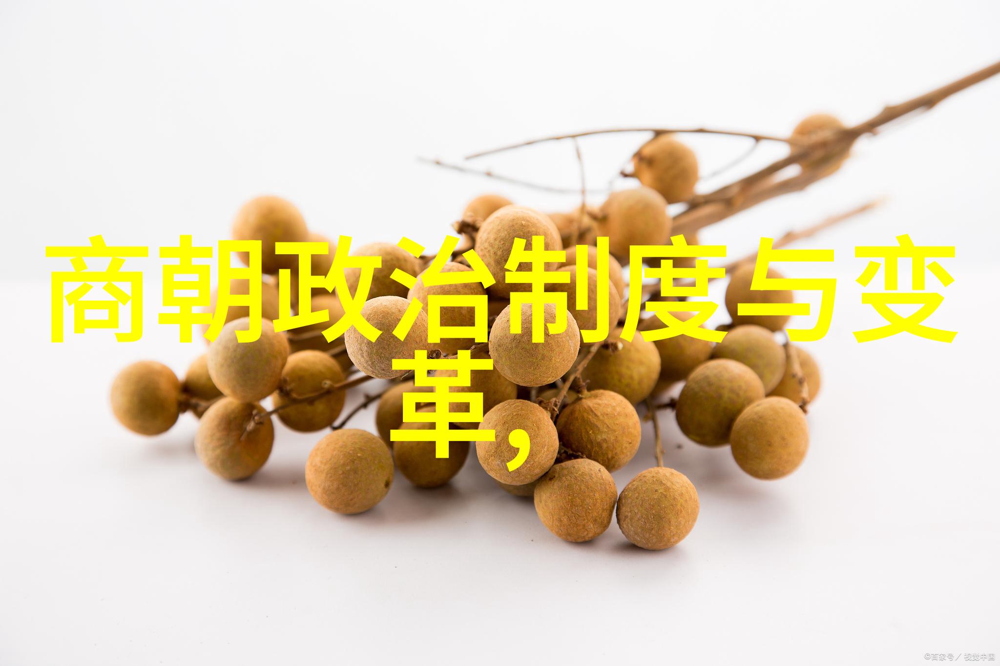 明末奇案阮小二与何天庸的血腥恩怨
