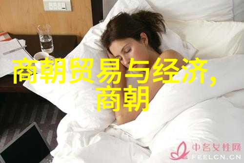 辽阔的历史长廊探索元朝的无限篇章