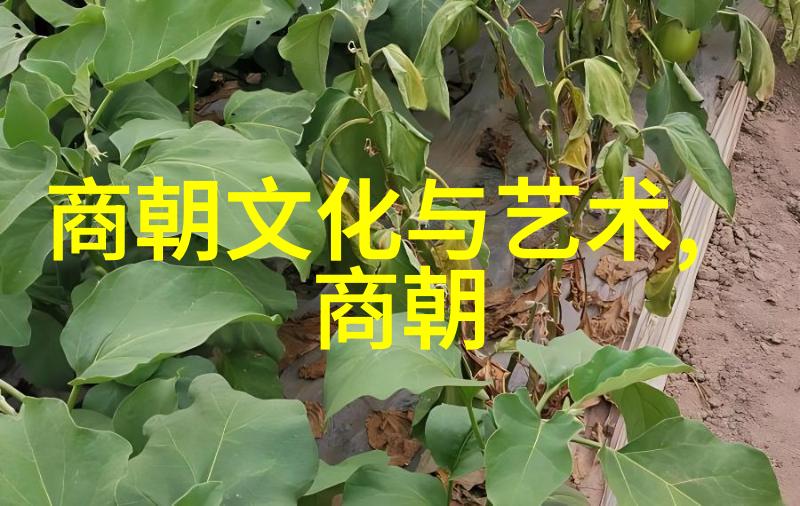 明朝历代帝王与重臣简介
