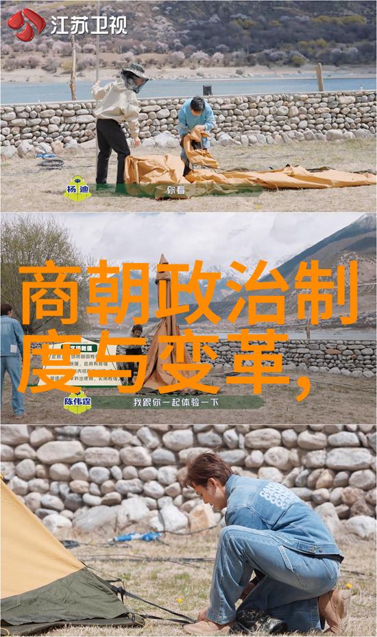 政治斗争中的权臣集团力量比较表述