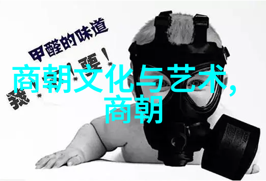 宋朝历史探秘揭秘宋朝历史app中的古代奥秘