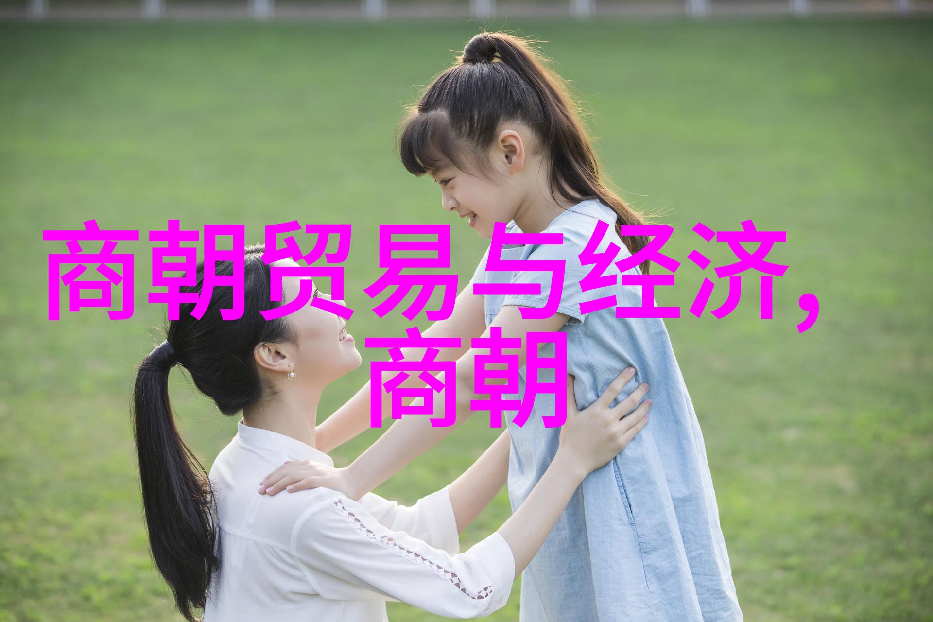 明朝族谱简图揭秘皇室血脉与家族荣耀