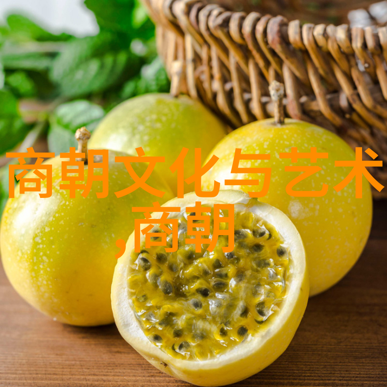 明朝16位帝王明朝的伟大统治者