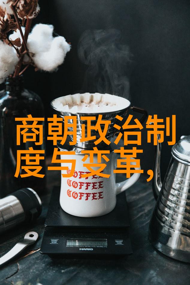 春秋之亂文王与周公的都城梦想
