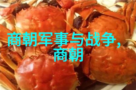 重生之毒眼魔医逆袭的黑暗药剂师