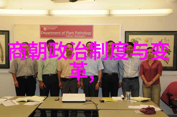 麻花豆传媒剧国产MV入口探索中国原创音乐视频的新风潮