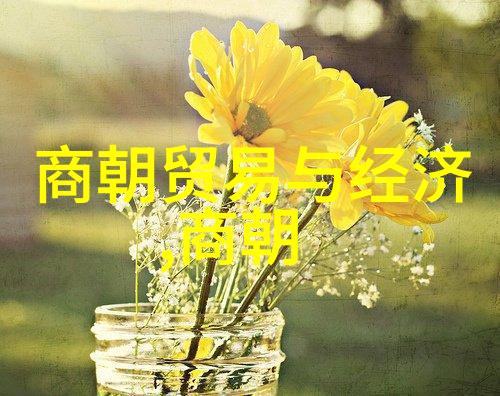 明朝君主我是如何在历史的长河中留下名字的