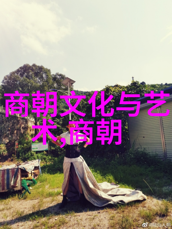 清朝历史简论剖析一分钟的历史脉络