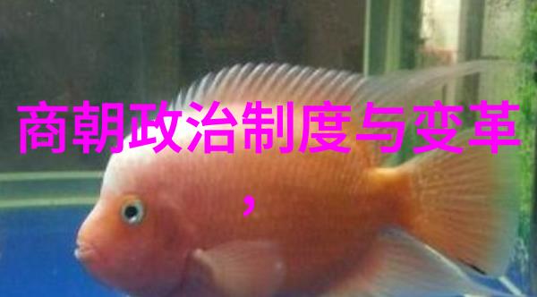 南明朝历代帝王简历 - 梦断江南南明君主传略绘史