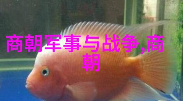 两宋交辉的天文巨星郭守敬的奇迹