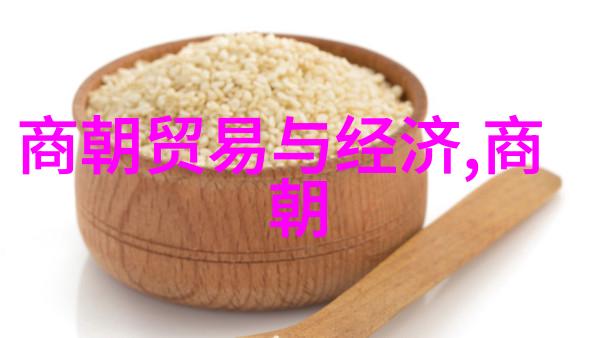 晋朝历史的兴衰历程又是怎样的