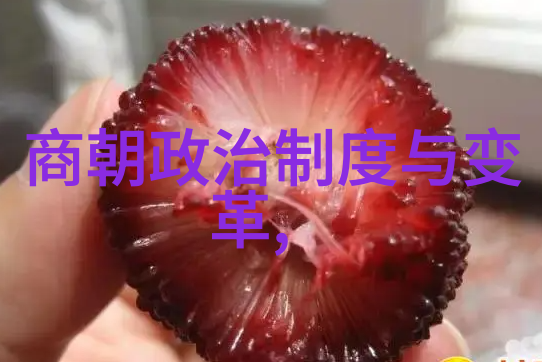 宋朝历史应用古代中国的数字化探索