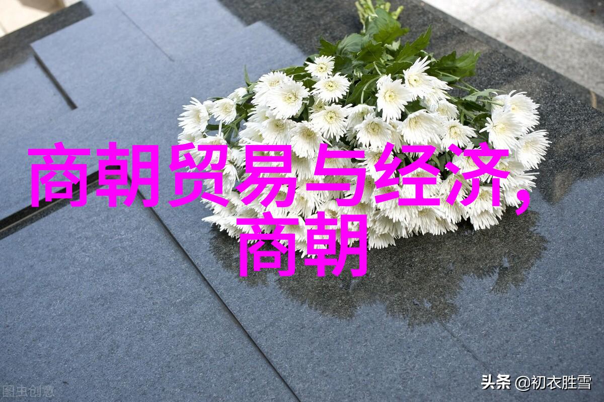 探究身份认同以明代宗室为中心的研究