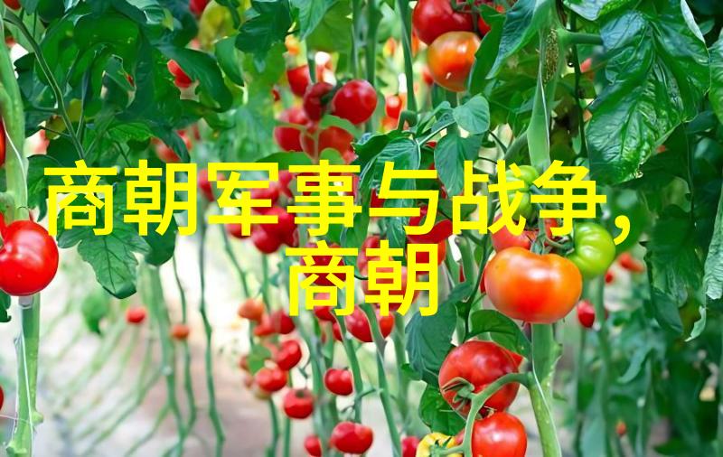 历史秘密-揭秘明朝诡异背后的阴谋与奇迹