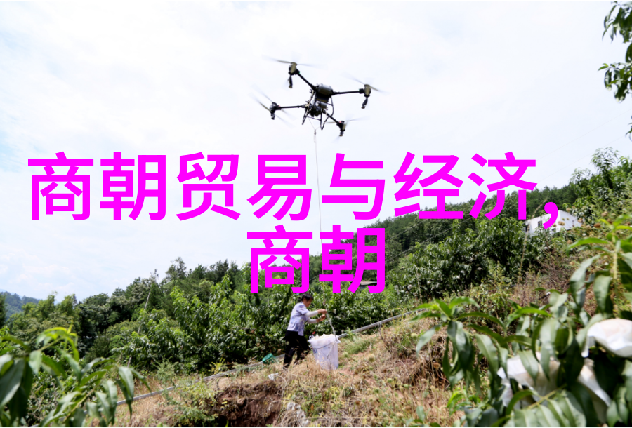 黄梅戏家春秋吴红军在社会舞台上的生行演绎
