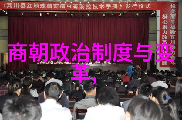 北宋末年之变革与动荡王安石变法的历史意义