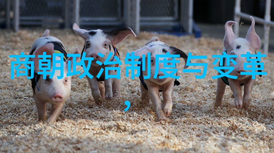 明朝封建统治下的社会变迁