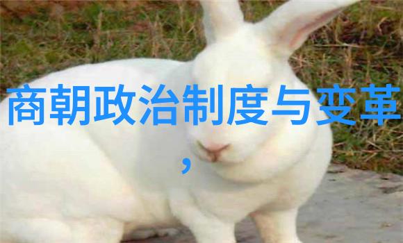 毒性生活揭露现代社会潜藏的危机人间有毒
