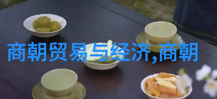 张耒诗文全集羊台山文化名人大营救