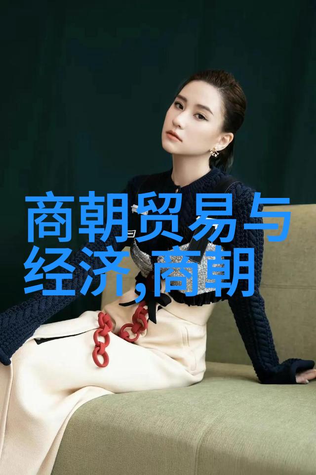 明朝历史解说-揭秘明朝的辉煌与衰落从朱元璋到崇祯