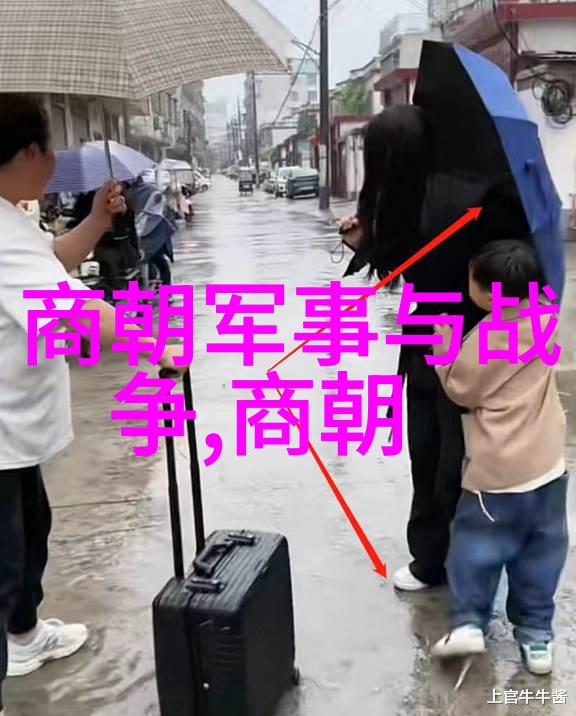 古典故事中的女性形象土木堡变故中的宫女画像