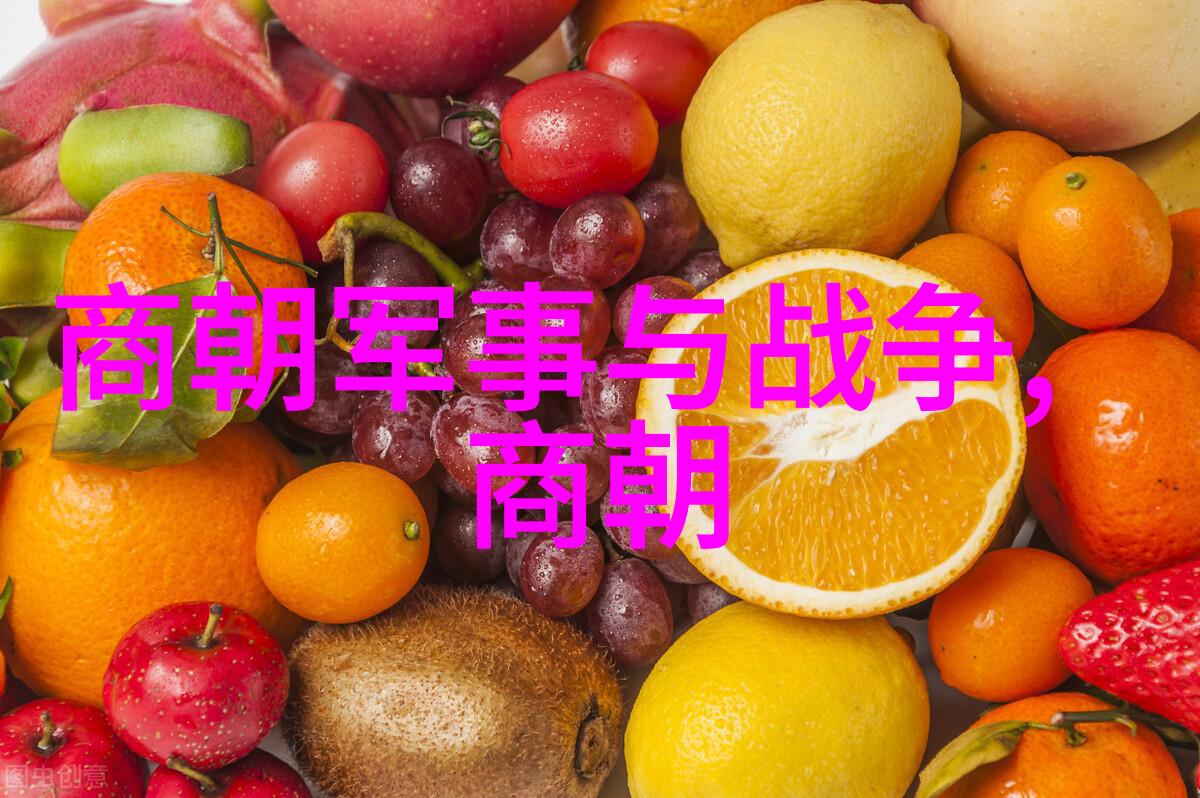中华文明的尽头各朝代灭亡之惨状