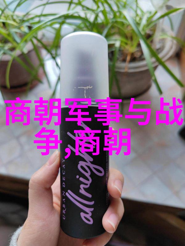 探秘历史你知道吗中国历代王朝简史大揭秘