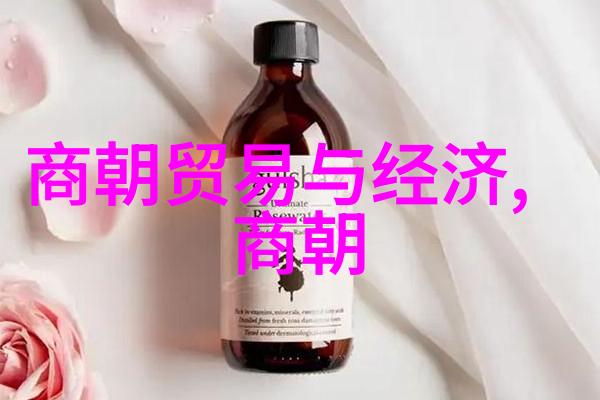 清朝入关前后对中国社会经济产生了什么影响