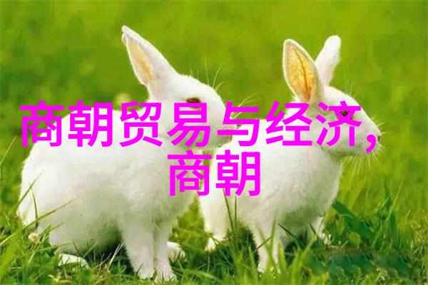 明朝三大排行荣耀与衰落的反差
