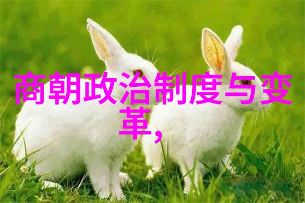 宋明理学的影响如何培养出具有坚韧精神的人才