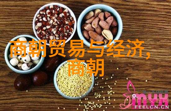 制服先锋影音-校园美学探索制服文化在先锋影音中的独特表达
