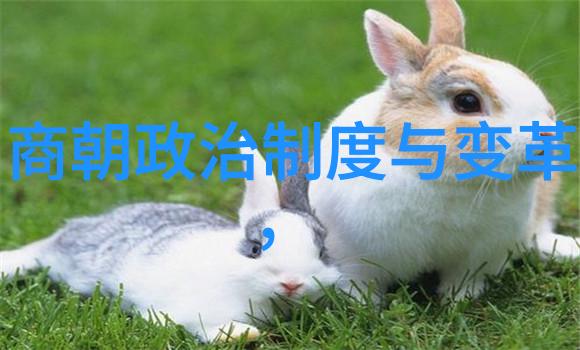 刘伯温为啥只封了个伯历史上的风云人物与一纸意外的文凭