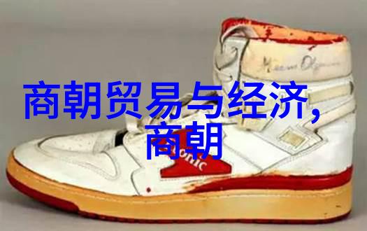 北朝政治风云变幻中的禅让现象研究