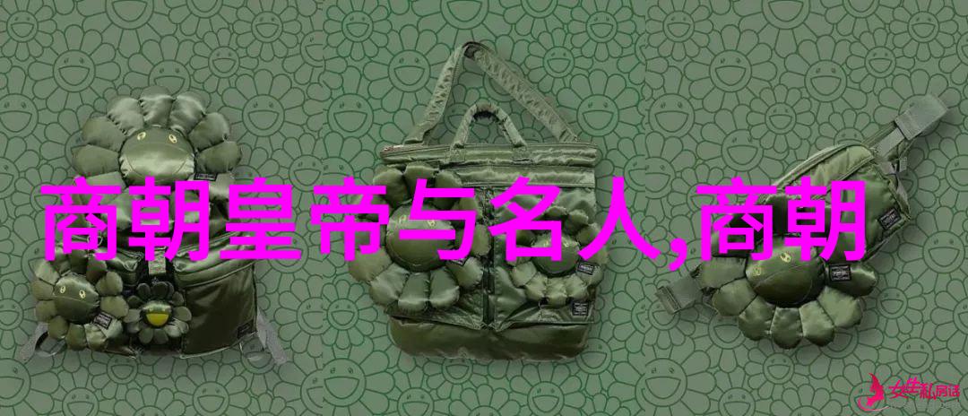主题我来聊聊宋朝的故事吧  从北宋到南宋一段历史的跌宕起伏