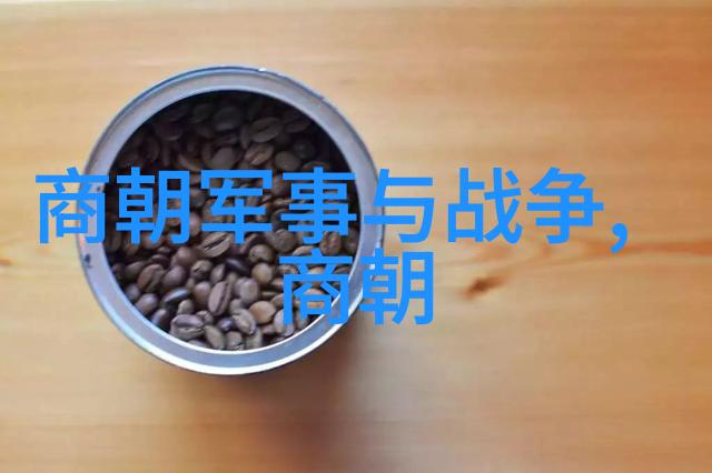 元朝边疆政策的成效与挑战元世祖忽必烈的开辟四方策略