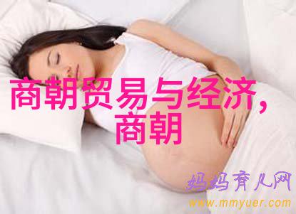 不被承认的12个朝代中的徐寿辉仿佛是历史的孤儿在1320到1360年间默默存在而未被记名
