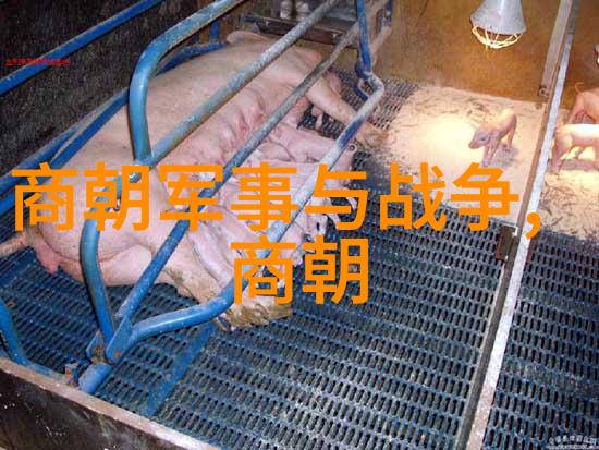 宋代社会演变的多重面貌
