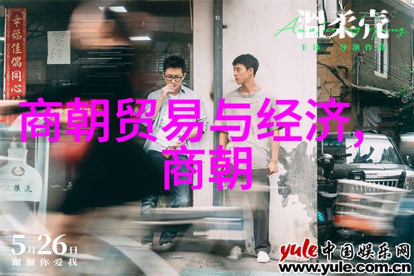 从汉至清中国历史朝代面积演变的宏伟篇章