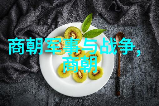元朝衰败之谜历史背景政治矛盾与民族因素的综合分析