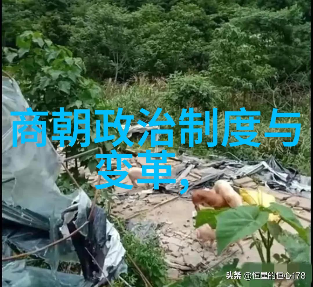 明朝时期历史我和明朝的故事从太平盛世到倭寇的侵扰